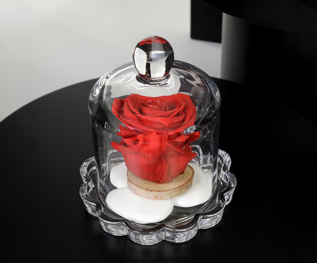 cloche en verre rose éternelle