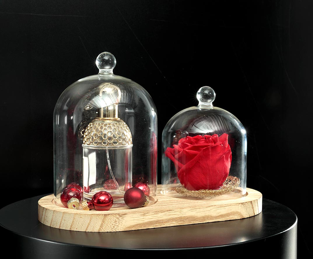 cloche en verre pour rose stabilisée