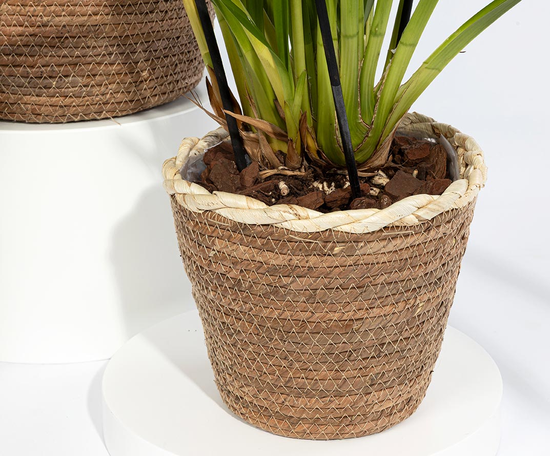 nouveauté panier osier vannerie fleuriste