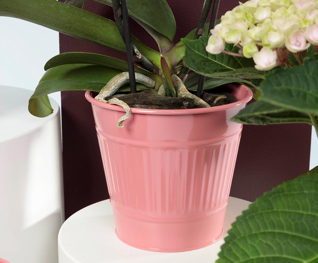 nouveauté seau en zinc fleuriste